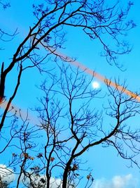 Low angle view of bare tree against blue sky