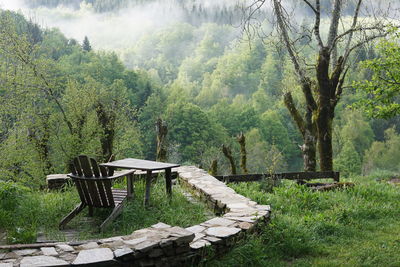 Empty chairs and table against trees in forest