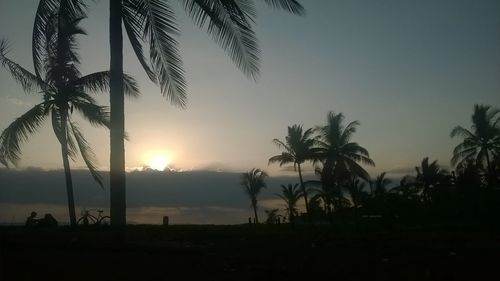 Silhouette palm trees on beach against clear sky