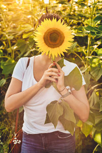 Midsection of woman holding sunflower