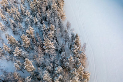 Footprints, animal prints and ski tracks on frozen lake kaitalampi, espoo, vihti, finland