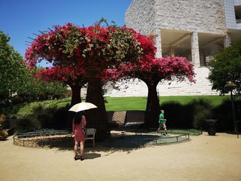 Rear view of women walking on flowering tree