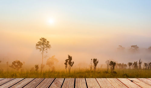 Scenic view of field against sky during sunset