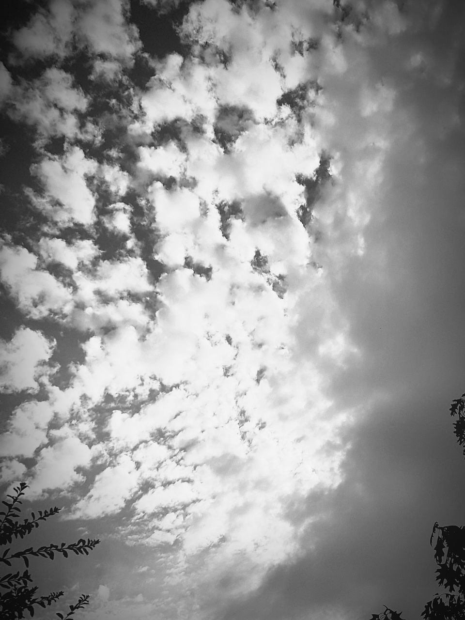 low angle view, sky, cloud - sky, cloudy, beauty in nature, nature, tranquility, silhouette, cloud, scenics, tree, tranquil scene, high section, outdoors, day, no people, backgrounds, cloudscape, weather, overcast