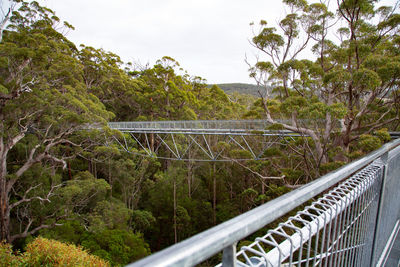 Footbridge over trees against sky