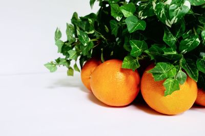 Close-up of orange fruit