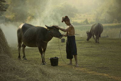 Farmer standing by cow at farm