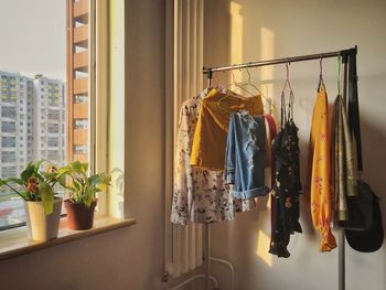 Potted plants hanging on wall at home