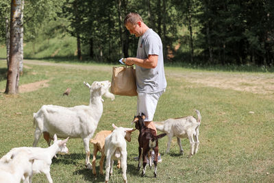 Side view of woman with goat on field