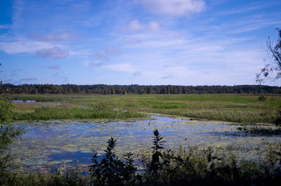 Scenic view of landscape against clear sky