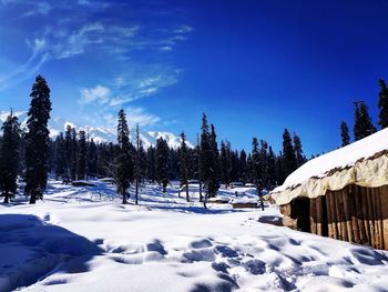 Snow covered land and trees against blue sky