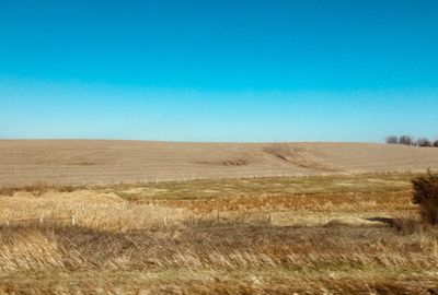 Scenic view of landscape against clear blue sky