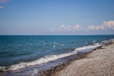Scenic view of sea against blue sky