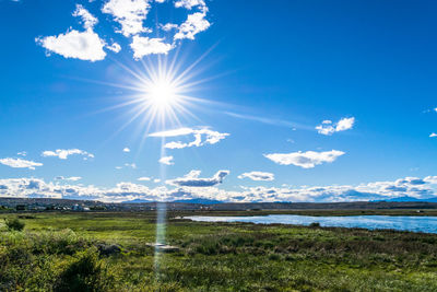 Scenic view of field against bright sun