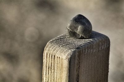 Close-up of stone structure