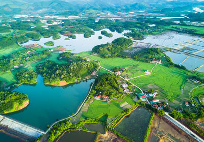 High angle view of sea and trees