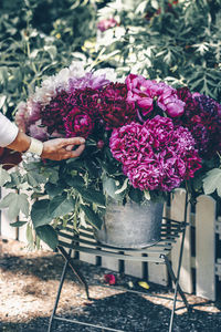 Pink rose bouquet