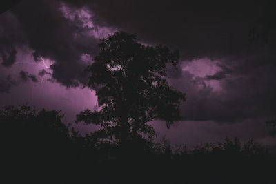 Low angle view of silhouette trees against sky at night