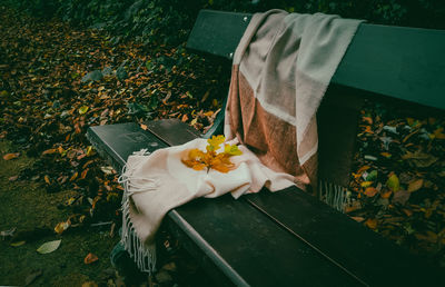 Forgotten scarf with a branch of autumn leaves on a park bench.