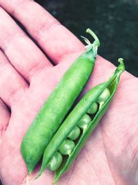 High angle view of hand holding green chili