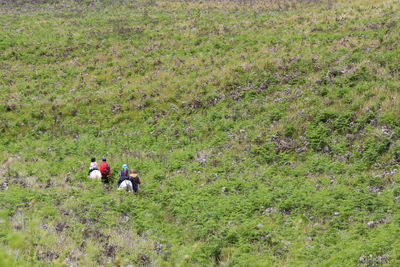 Rear view of people on field