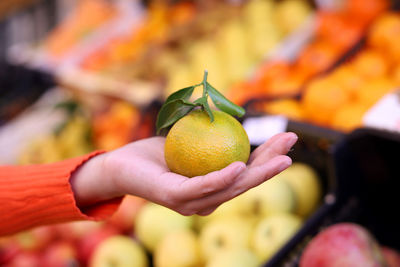 Close-up of hand holding orange fruit in market