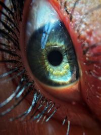 Close-up portrait of human eye