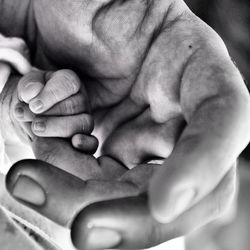 Cropped hands of parent with baby