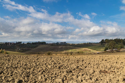 Scenic view of agricultural field against sky