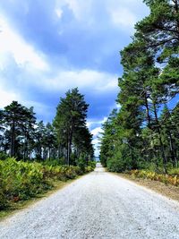 Road amidst trees against sky