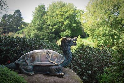 View of a horse against plants