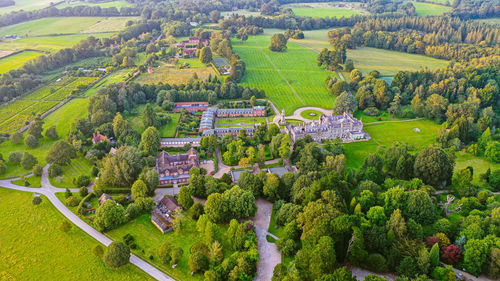 High angle view of trees and plants growing on field