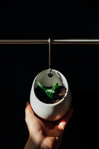 Close-up of person holding drink over black background