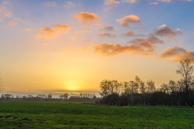 Scenic view of field against sky during sunset