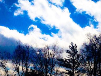 Low angle view of bare trees against cloudy sky