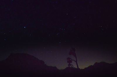 Low angle view of sky at night