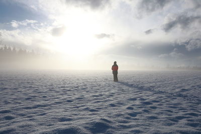 Rear view of man standing on sea shore against sky