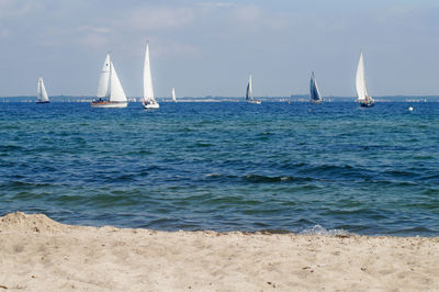 Sailboats on sea against sky