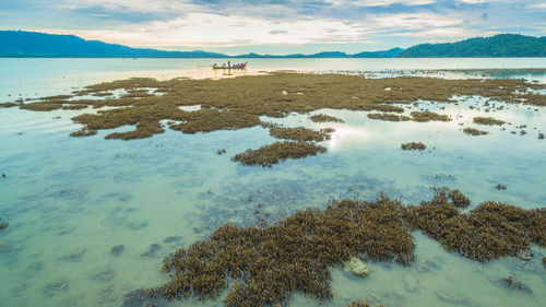 High angle view of sea shore against sky