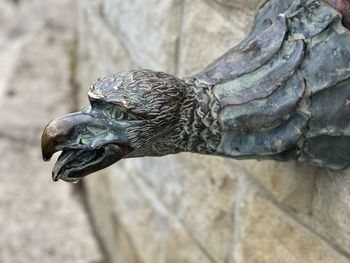 Close-up of bird sculptur, fountain gargoyle