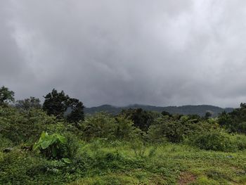 Scenic view of land against sky