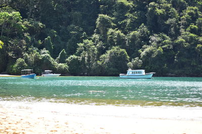 Scenic view of sea against trees