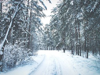 Road passing through snow covered landscape