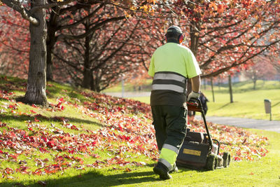 Rear view of gardener working in park during autumn