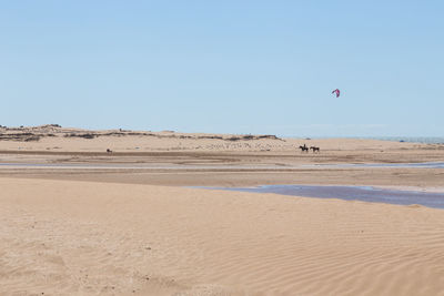 Scenic view of beach against clear sky