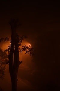 Low angle view of silhouette tree against sky during sunset