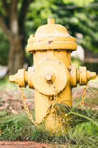 Close-up of fire hydrant