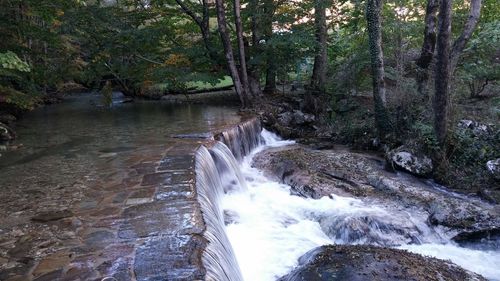 Scenic view of waterfall in forest