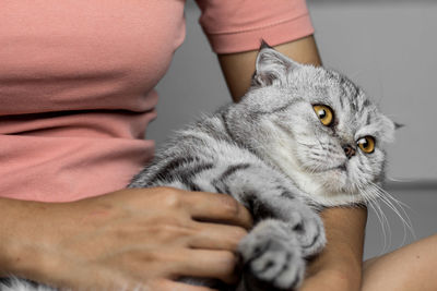 Midsection of person holding cat at home