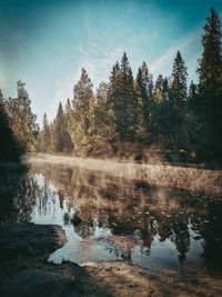 Scenic view of lake in forest against sky